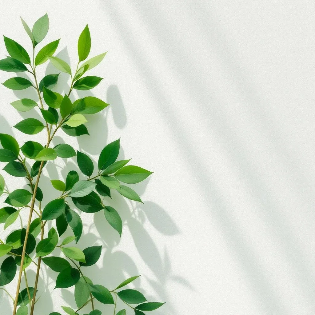 Tvoje tělo ti celou dobu říkalo pravdu – proč vyhoření z korporátu ničí imunitu a jak ji krok za krokem obnovit