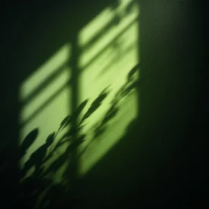 Když tělo řekne dost: Proč tvá imunita kolabuje po letech v korporátu a co s tím skutečně funguje